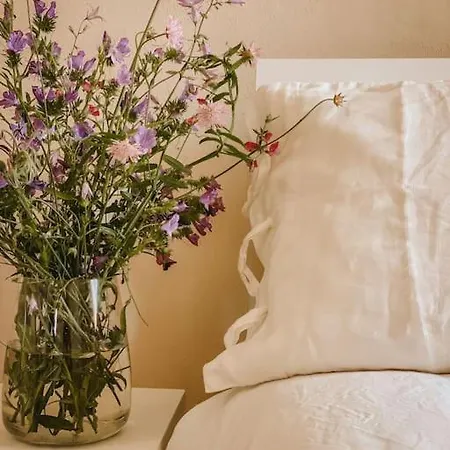 Διαμέρισμα Bilocale Il Rosmarino *